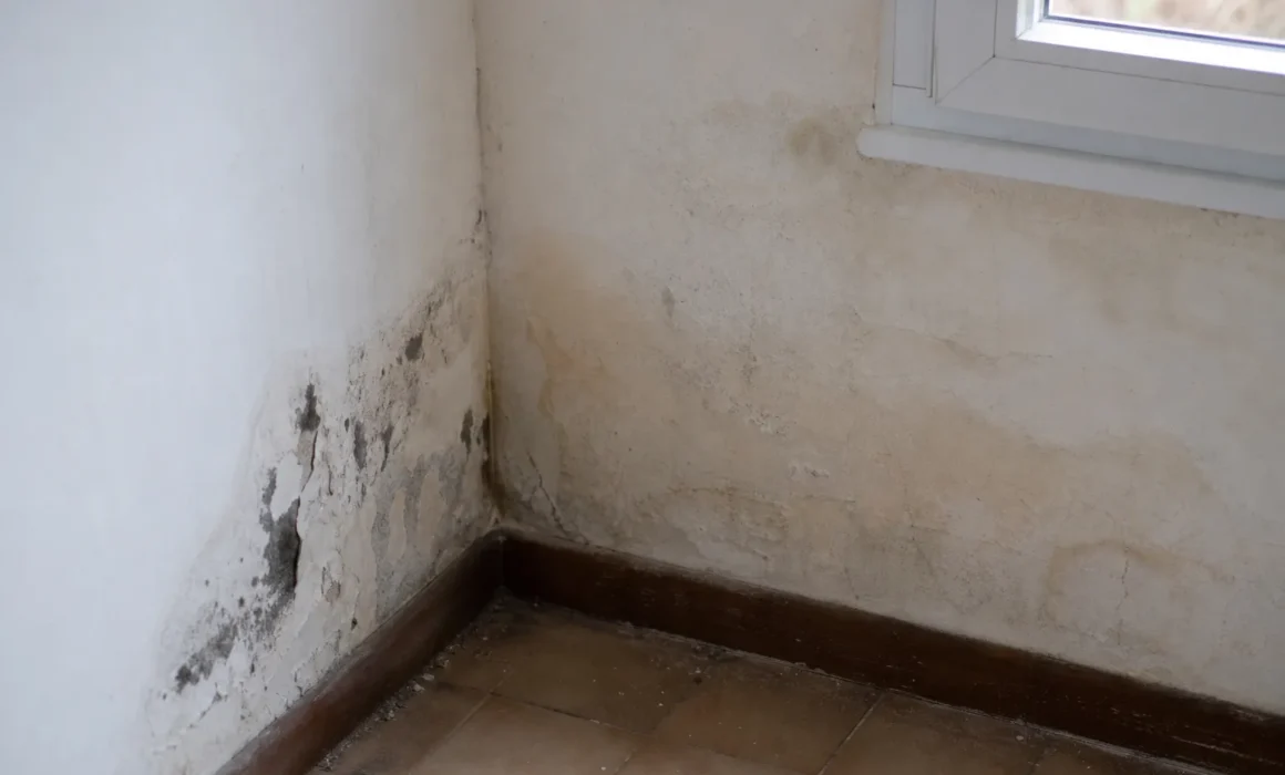 "Condensation,